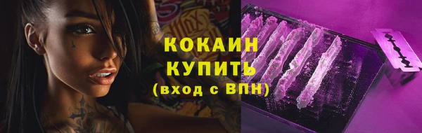 гашик Вязники