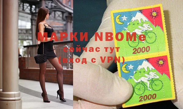 спиды Вяземский