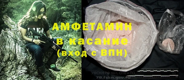 спиды Вяземский