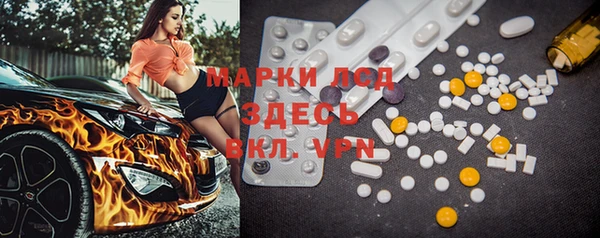 спиды Вяземский