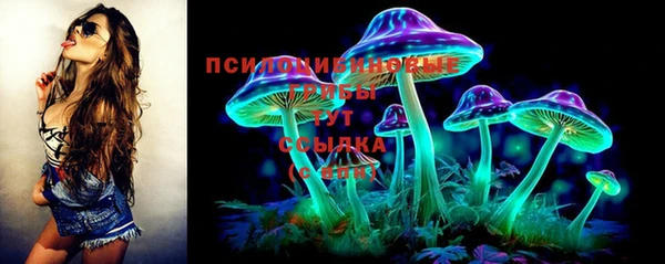 гашик Вязники