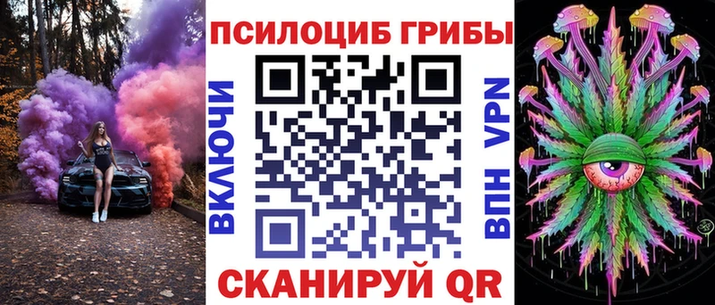 Купить  Заполярный  Галлюциногенные грибы Psilocybine cubensis 